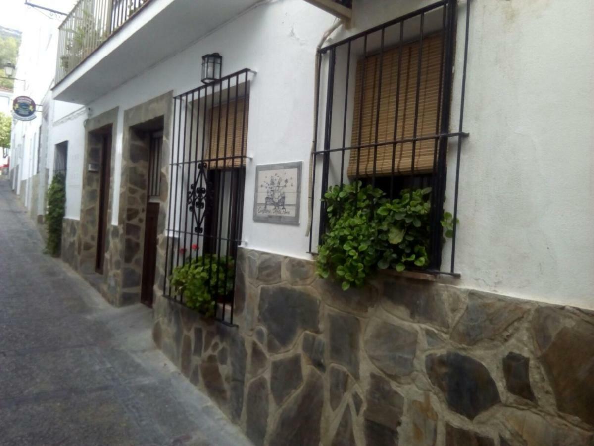 منزل الضيف البوسكي  في Casa Rural Majaceite المظهر الخارجي الصورة